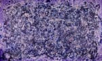 SOLD - Purple Display of Affection (With Blue and Silver) (2018) Acrylic painting by Nestor Toro
