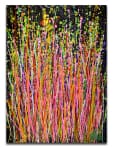 Consciousness Garden (2018) Abstract Acrylic painting by Nestor Toro