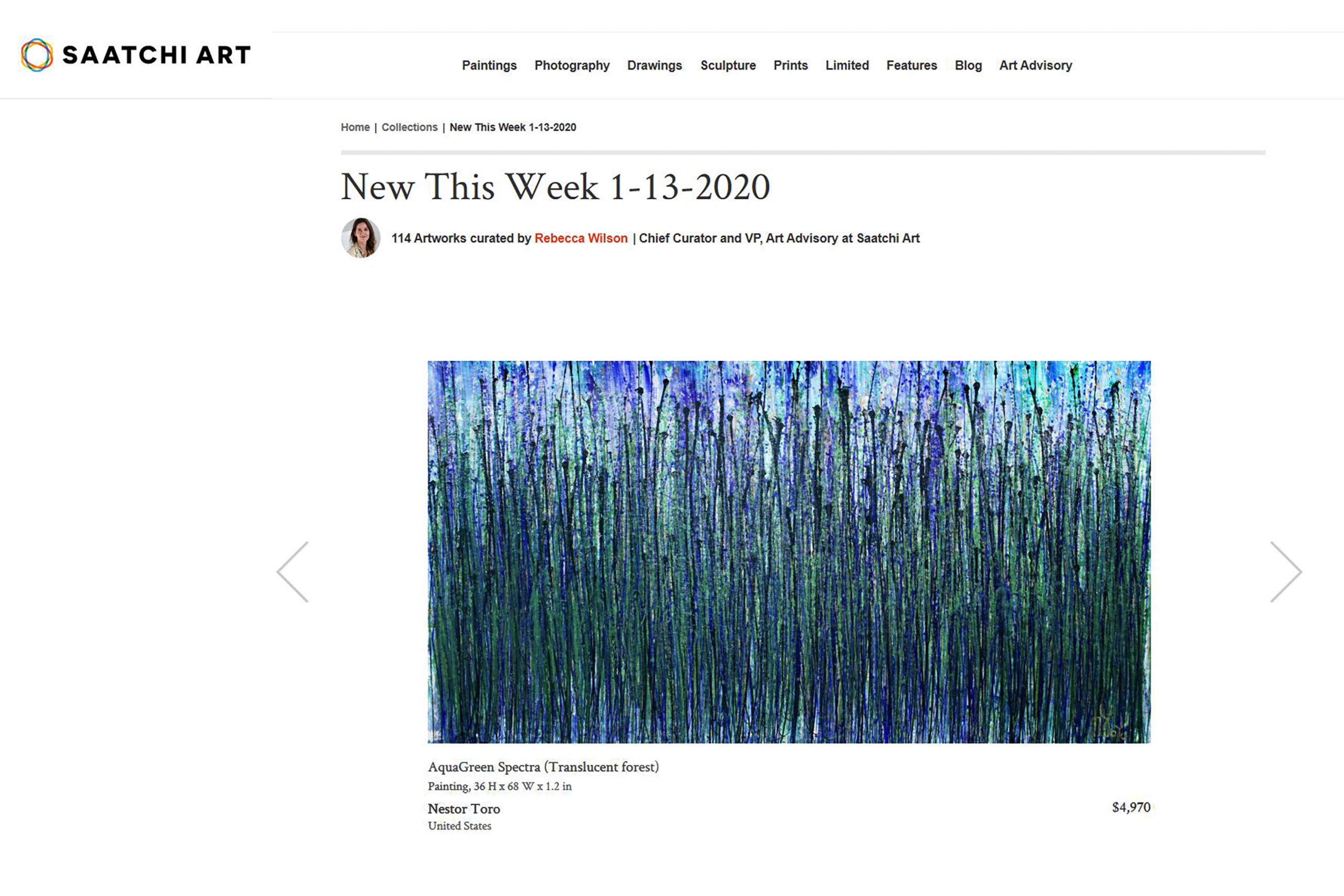 Saatchi Art's - New This Week Collection - January 13, 2020 - Nestor Toro's work - Translucent Forest