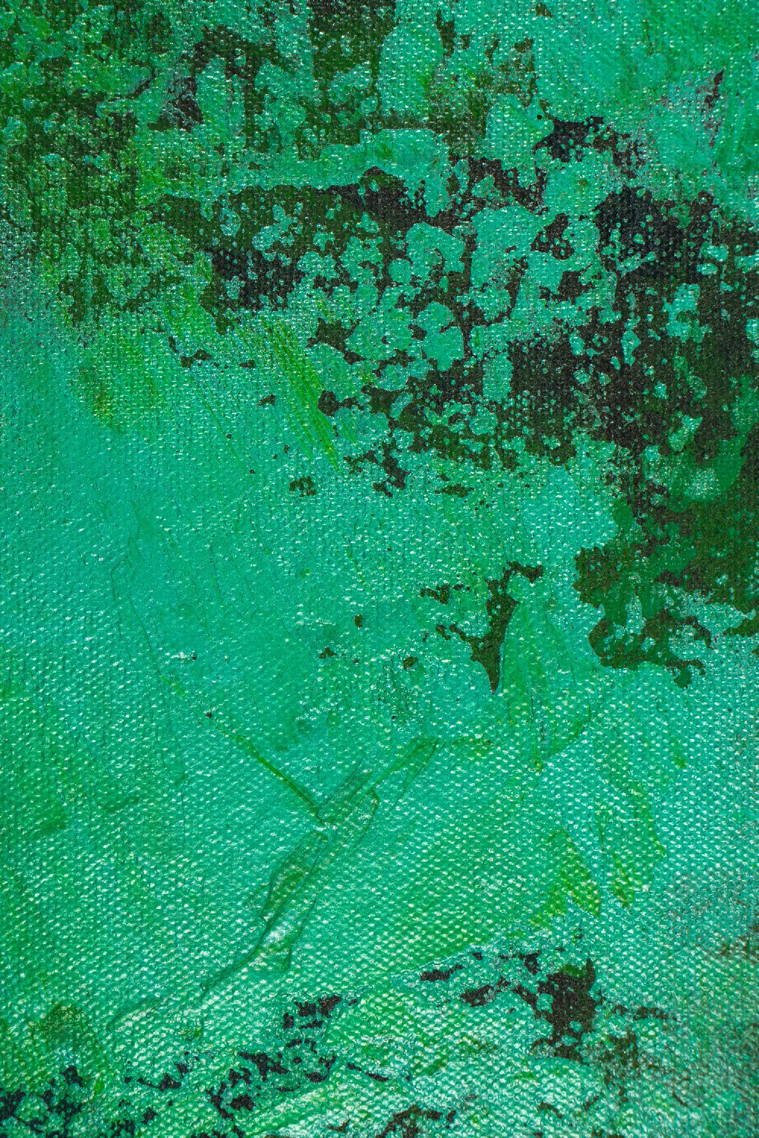 Detail View- Verdor Spectra (Lush Greenery) (2020) / Nestor Toro