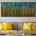 Natures Imagery (Scattering Colors) 1 (2021) / Triptych
