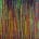 Faces of Nature 26 (Northern Lights) (2022)