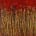 Strange Spectra 7 (Over Bright Red) (2022) / 48 x 36 inches