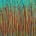 Fiery Song (Over Teal) (2022) / Diptych