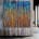 Overnight Realization (Becoming Clear) (2022) / Diptych / 48x48 inches