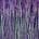 Aftershock Energy (2022) / 16 x 20 / Nestor Toro