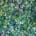 Lush Greenery (Regrowth) #2 (2022) / 60x72 inches / Nestor Toro