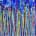 Blue Garden (Many questions) 64x18x1.5 inches / 2023